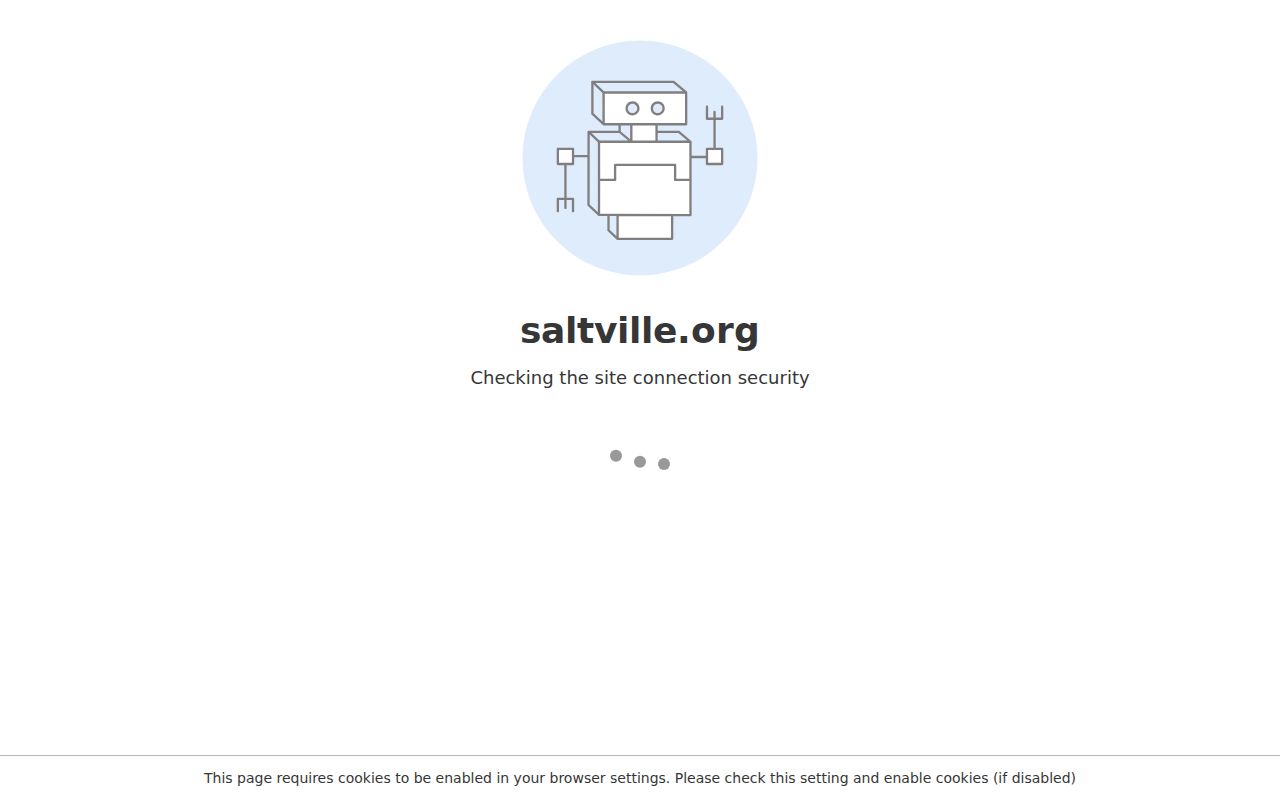 Saltville criminal records information on the official town website